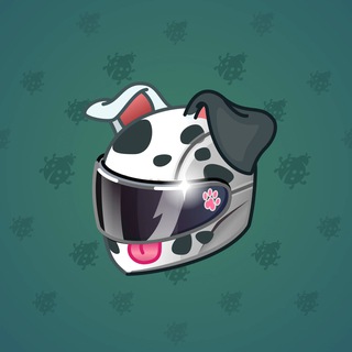 Neko Helmet #9702