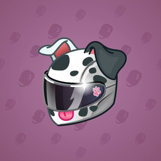 Neko Helmet #3703