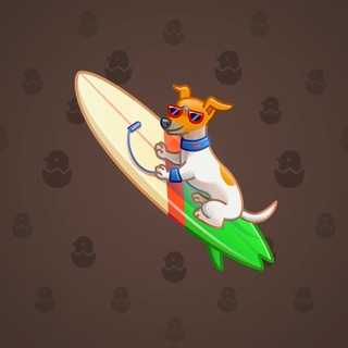 Surge Board #13463