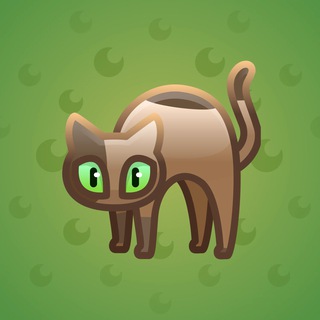 Scared Cat #9817