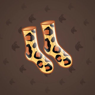 Fresh Socks #36282