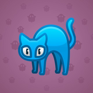Scared Cat #16389