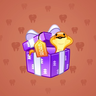 Snake Box #22772