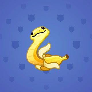Pet Snake #124844