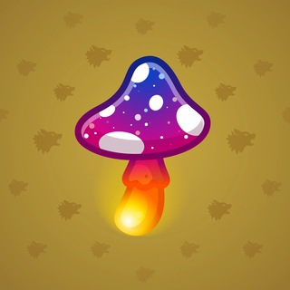 Spy Agaric #35431