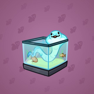 Snake Box #36257