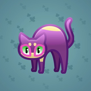 Scared Cat #17904
