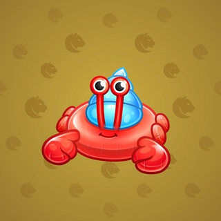 Pool Float