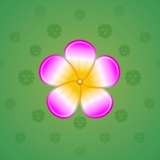Sakura Flower #72397