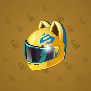 Neko Helmet #9561