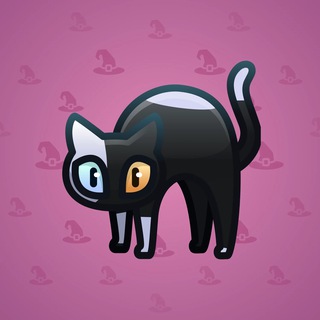 Scared Cat #18760