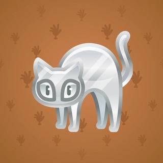 Scared Cat #13910