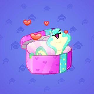 Snake Box #72954