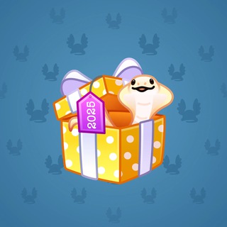 Snake Box #151446