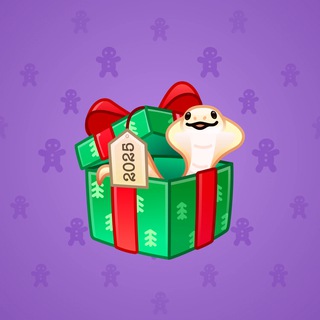 Snake Box #35539