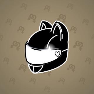 Neko Helmet #5508