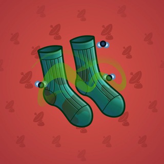 Fresh Socks #120177