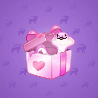 Snake Box #59067
