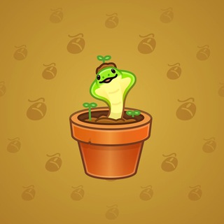 Snake Box #163949