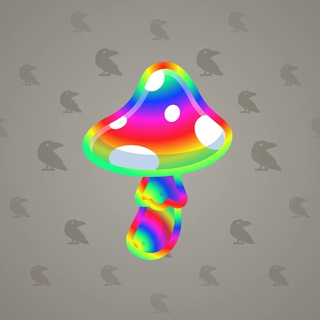 Spy Agaric #56701