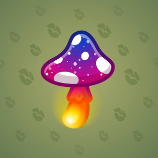 Spy Agaric #11004