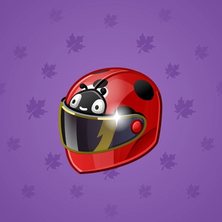 Neko Helmet #8035