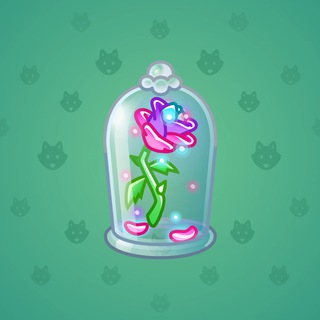 Eternal Rose #437