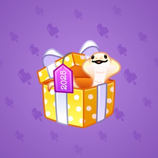 Snake Box #34563