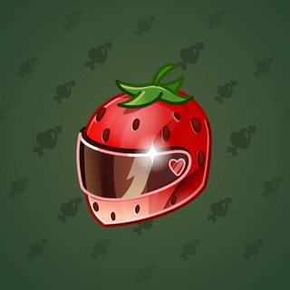 Neko Helmet #12246