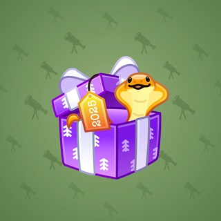 Snake Box #7862