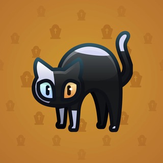 Scared Cat #10979