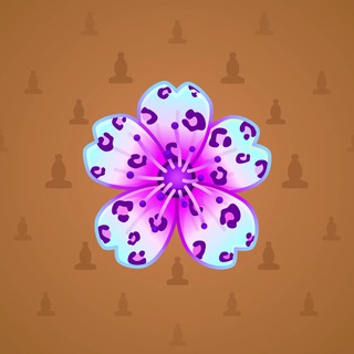 Sakura Flower #63223