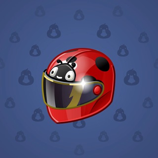 Neko Helmet #4364