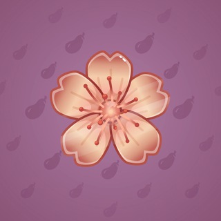 Sakura Flower #27733