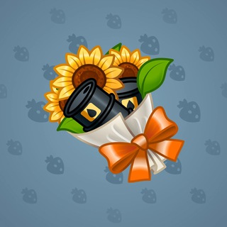 Sunflower Oil