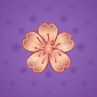Sakura Flower #85753