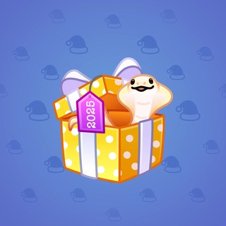 Snake Box #158017