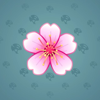Sakura Flower #52250