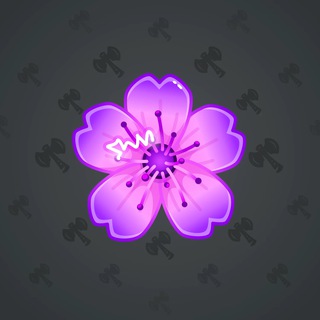 Sakura Flower #84786
