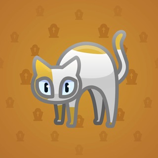 Scared Cat #9634