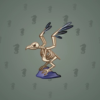 Rare Bird #10195