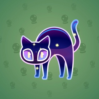 Scared Cat #386