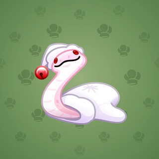 Pet Snake #126546