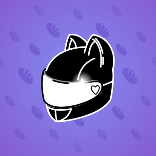 Neko Helmet #4843