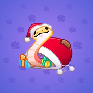 Pet Snake #123197