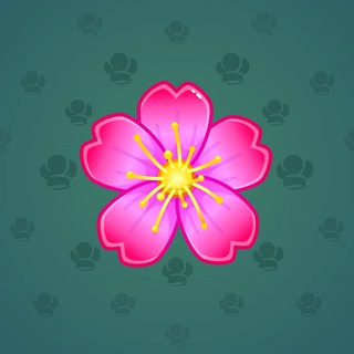 Aster