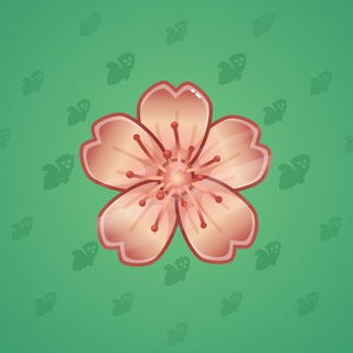 Sakura Flower #13130