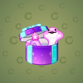 Snake Box #123225