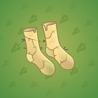 Fresh Socks #17185