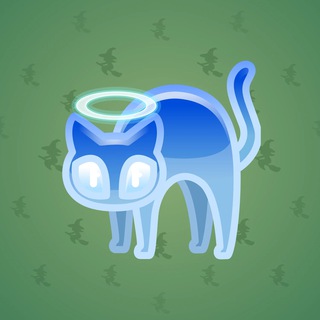 Scared Cat #9616